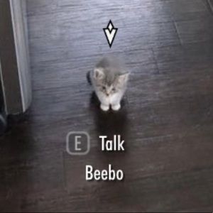 Meet your Posher, Evan